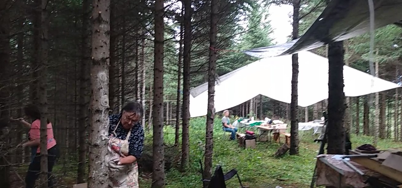 Atelier INTELLIGENCE NATURALISTE , étape installation in situ